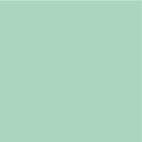 Kaisercraft - 12 x 12 Weave Cardstock - Peppermint