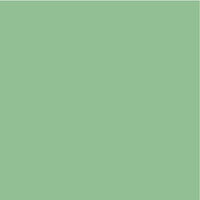 Kaisercraft - 12 x 12 Weave Cardstock - Spearmint