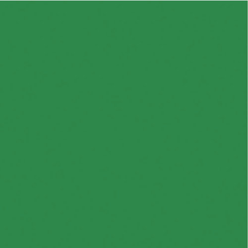 Kaisercraft - 12 x 12 Weave Cardstock - Jade
