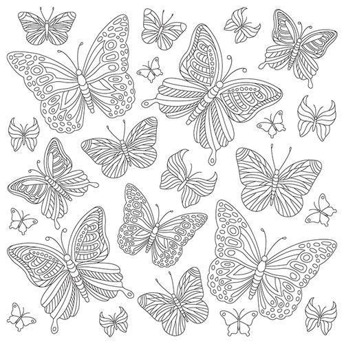 Kaisercraft - Kaisercolour - Card - Butterflies