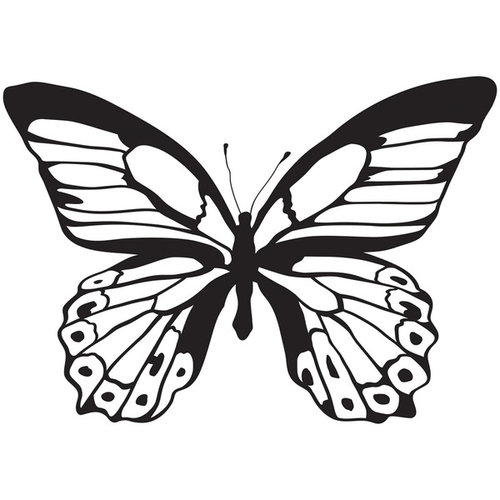 Kaisercraft - Clear Acrylic Stamps - Background - Majestic Butterfly
