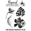 Kaisercraft - Paradise Found Collection - Clear Acrylic Stamps