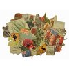 Kaisercraft - Great Southern Land Collection - Collectables - Die Cut Cardstock Pieces