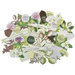 Kaisercraft - Botanica Collection - Collectables - Die Cut Cardstock Pieces
