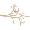 Kaisercraft - Flourishes - Die Cut Wood Pieces - Branch