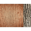 Kaisercraft - Base Coat Collection - 12 x 12 Double Sided Paper - Tree Trunk