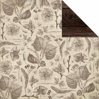 Kaisercraft - Outdoor Trail Collection - 12 x 12 Double Sided Paper - Bush