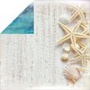 Kaisercraft - Sandy Toes Collection - 12 x 12 Double Sided Paper - Sea Shells