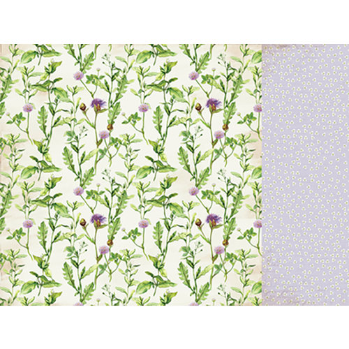 Kaisercraft - Botanica Collection - 12 x 12 Double Sided Paper - Roots