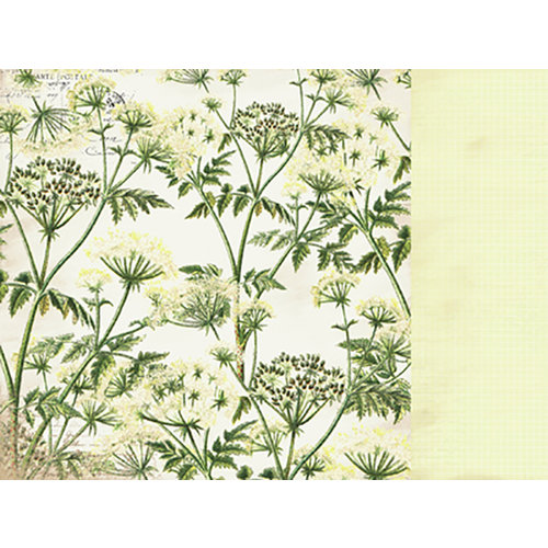 Kaisercraft - Botanica Collection - 12 x 12 Double Sided Paper - Air