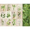 Kaisercraft - Botanica Collection - 12 x 12 Double Sided Paper - Habitat