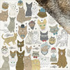 Kaisercraft - Pawfect Collection - 12 x 12 Double Sided Paper - Cats