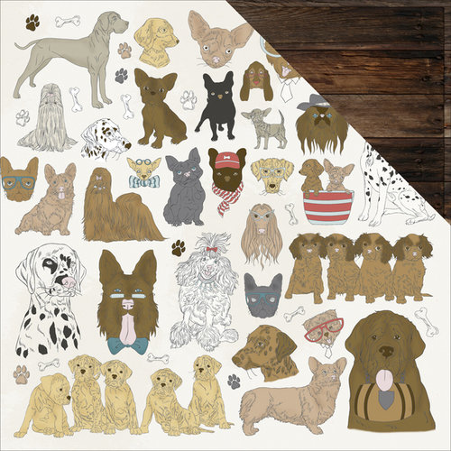 Kaisercraft - Pawfect Collection - 12 x 12 Double Sided Paper - Dogs