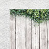 Kaisercraft - Wandering Ivy Collection - 12 x 12 Double Sided Paper - Ivy Wall
