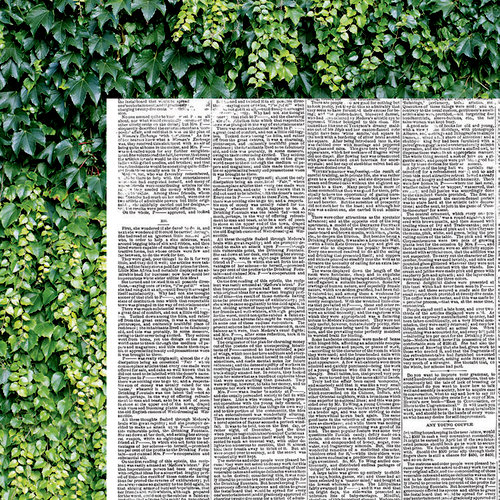 Kaisercraft - Wandering Ivy Collection - 12 x 12 Double Sided Paper - Archives