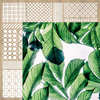 Kaisercraft - Havana Nights Collection - 12 x 12 Double Sided Paper - Lush