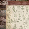 Kaisercraft - Anthology Collection - 12 x 12 Double Sided Paper - Herbs