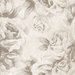 Kaisercraft - Whisper Collection - 12 x 12 Double Sided Paper - Whitewashed