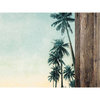 Kaisercraft - Paradise Found Collection - 12 x 12 Double Sided Paper - Palm Trees