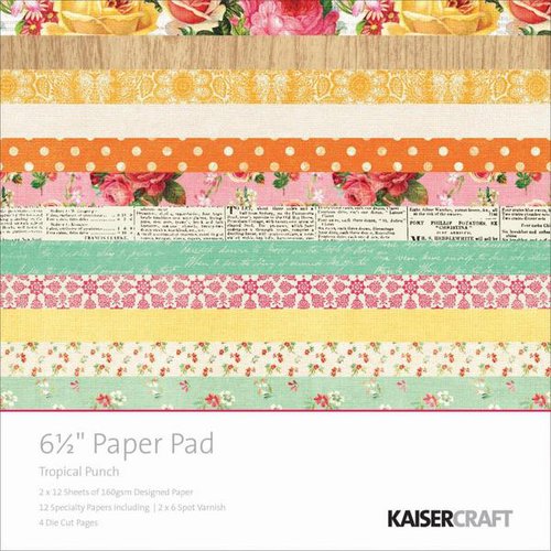 Kaisercraft - Tropical Punch Collection - 6.5 x 6.5 Paper Pad