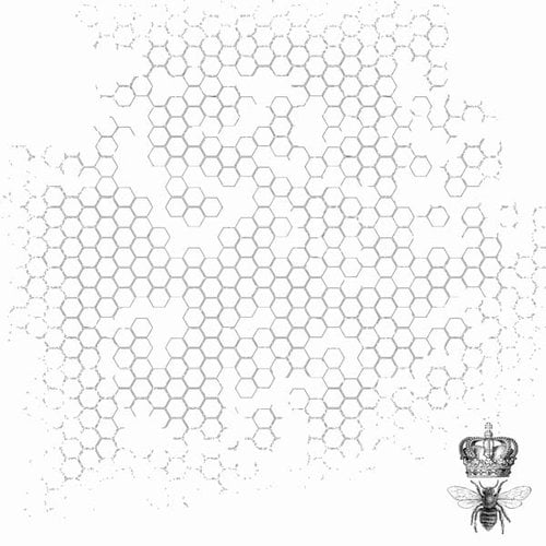 Kaisercraft - Forget-Me-Not Collection - 12 x 12 Acetate Overlay - Bee Hive