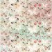 Kaisercraft - Enchanted Garden Collection - 12 x 12 Paper with Glitter Accents - Fly