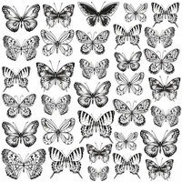 Kaisercraft - Romantique Collection - 12 x 12 Acetate Paper - Butterflies