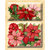 K and Company - Glad Tidings Collection - Christmas - Layered Accents with Glitter Accents - Poinsettia and Holly