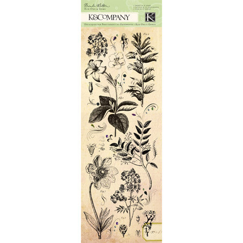 K and Company - Flora and Fauna Collection - Rub Ons with Gem Accents - Natural