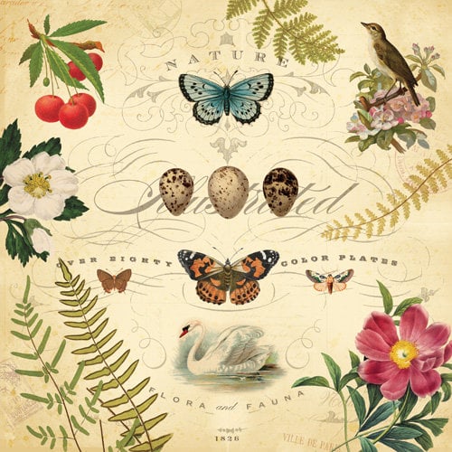 K and Company - Flora and Fauna Collection - 12 x 12 Paper with Foil Accents - Nature Illustration