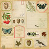K and Company - Flora and Fauna Collection - 12 x 12 Paper - Botanical Ephemera