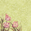 K and Company - Spring Blossom Collection - 12 x 12 Paper - Primrose