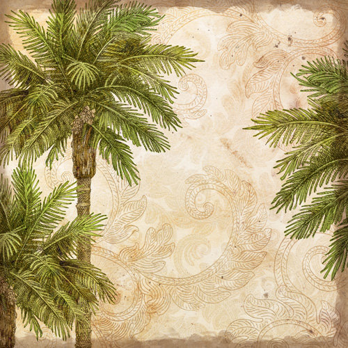 K and Company - Travel Collection - 12 x 12 Paper - Palms