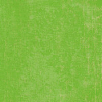 K and Company - 12x12 Paper - Girl Scouts Collection - Green Texture, CLEARANCE