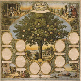 K and Company - Ancestry.com Collection - 12x12 Paper - Traditional Family Tree