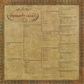 K and Company - Ancestry.com Collection - 12x12 Paper - Pedigree Chart