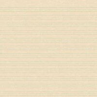 Karen Foster Patterned Paper - Writing Paper