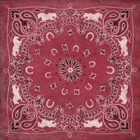 Karen Foster Design - Red Bandana