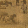 Karen Foster Design - Equestrian Collection - 12 x 12 Paper - Equestrian Course