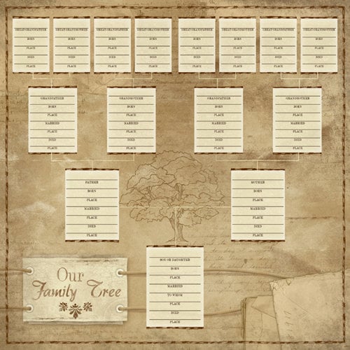 How To Make A Family Tree On Chart Paper