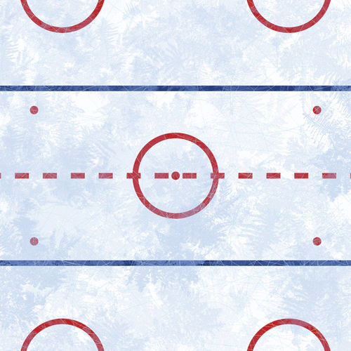 Karen Foster Design - 12 x 12 Paper - Hockey Ice
