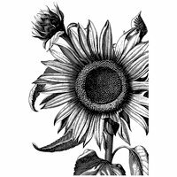 LaBlanche - Flowers Collection - Foam Mounted Silicone Stamp - Sunflower