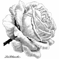 LaBlanche - Flowers Collection - Foam Mounted Silicone Stamp - Single Rose