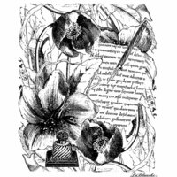 LaBlanche - Faces and Words Collection - Foam Mounted Silicone Stamp - Script with Flowers