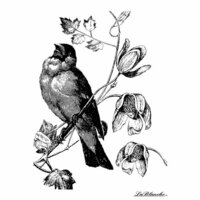 LaBlanche - Foam Mounted Silicone Stamp - Singing Bird