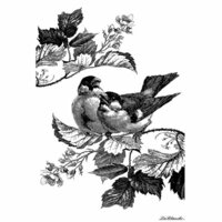 LaBlanche - Foam Mounted Silicone Stamp - Two Sparrows