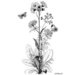 LaBlanche - Foam Mounted Silicone Stamp - Meadow Flower
