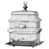 LaBlanche - Foam Mounted Silicone Stamp - Wire Bird Cage