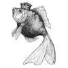 LaBlanche - Foam Mounted Silicone Stamp - Goldfish Royalty