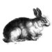 LaBlanche - Foam Mounted Silicone Stamp - Resting Rabbit